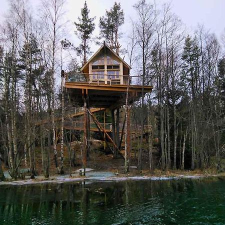 Tretopphytter Pa Grensen - Beverhytta Med Robat Og Gjeddefiske ハルデン エクステリア 写真